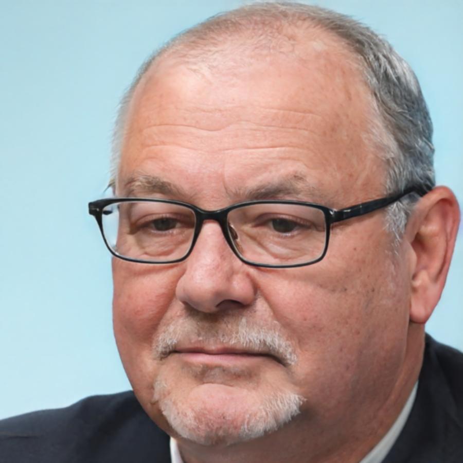 Participante del proyecto